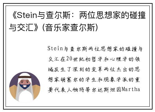 《Stein与查尔斯：两位思想家的碰撞与交汇》(音乐家查尔斯)