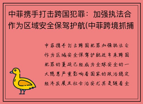 中菲携手打击跨国犯罪：加强执法合作为区域安全保驾护航(中菲跨境抓捕)