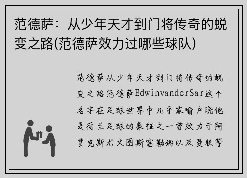范德萨：从少年天才到门将传奇的蜕变之路(范德萨效力过哪些球队)