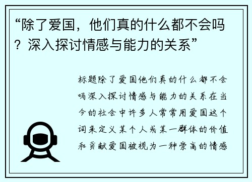 “除了爱国，他们真的什么都不会吗？深入探讨情感与能力的关系”