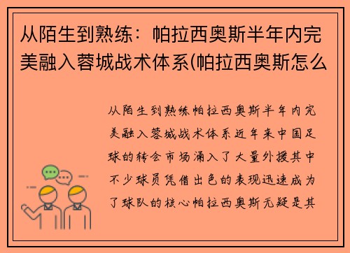 从陌生到熟练：帕拉西奥斯半年内完美融入蓉城战术体系(帕拉西奥斯怎么样)